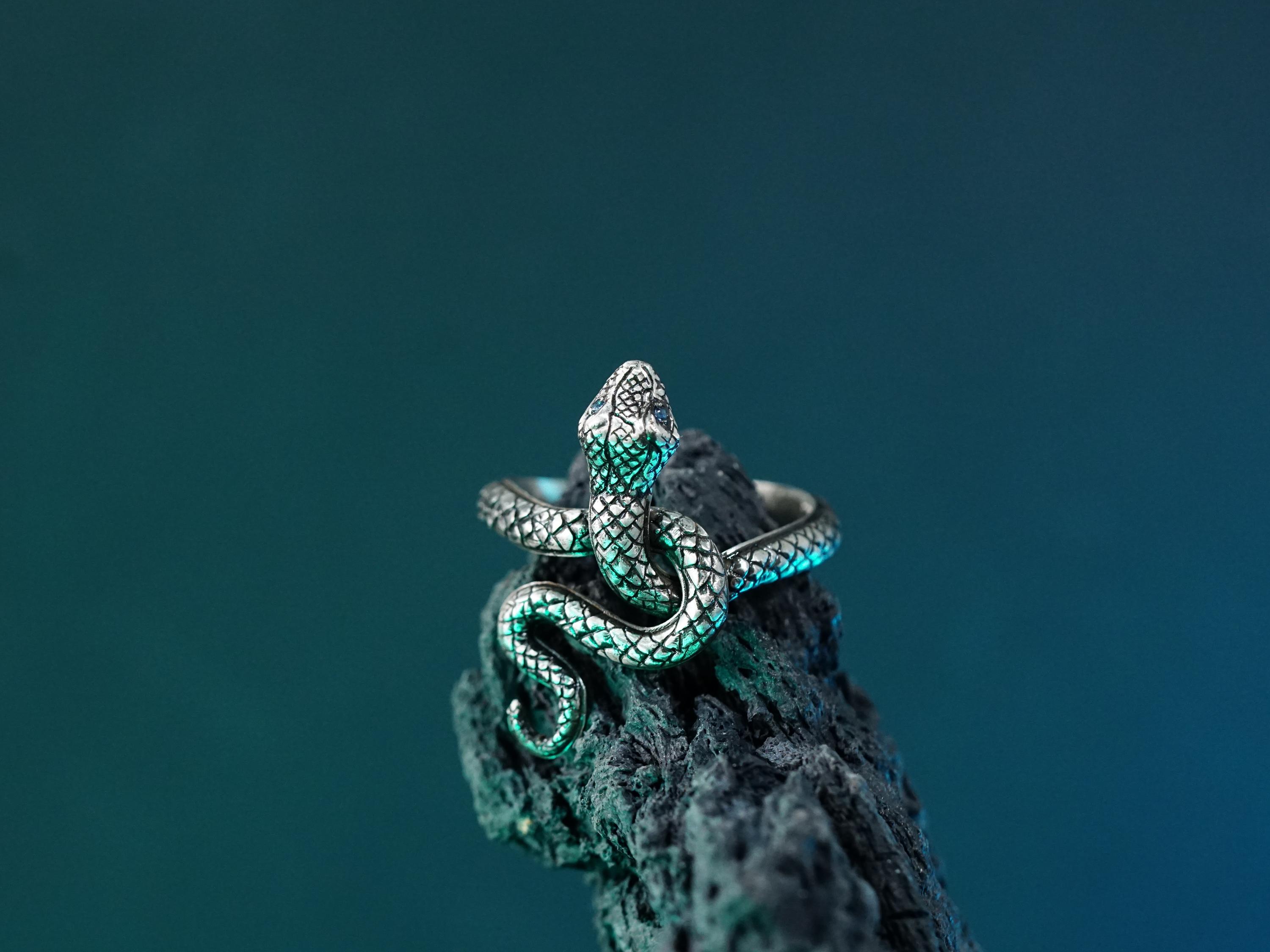 EXCLUSIVE Fanmade Dark Souls - Covetous Silver Serpent Ring, Custom 950 Silver Handmade Rings, Includes Calamity Ring and Ring of Favor